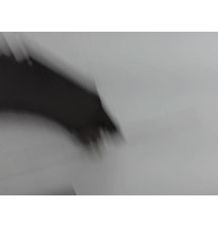 Aile avant gauche FORD FIESTA 6 Photo n°5