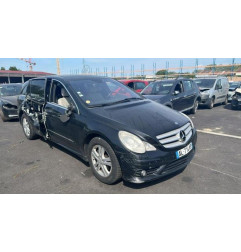 Porte arriere gauche MERCEDES CLASSE R 251 Photo n°18