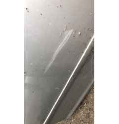 Porte arriere gauche FORD FOCUS 2