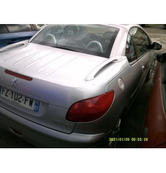 Vitre arriere gauche PEUGEOT 206 Photo n°6