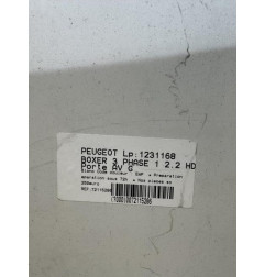 Porte avant gauche PEUGEOT BOXER 3 Photo n°4