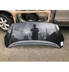 Capot PEUGEOT 1007 Photo n°1