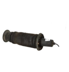 Amortisseur avant droit LAND ROVER RANGE ROVER 2 Photo n°1