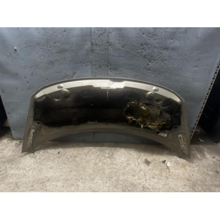 Capot PEUGEOT 3008 1