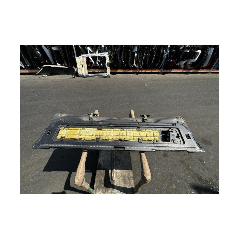 Hayon inferieur BMW X5 E53