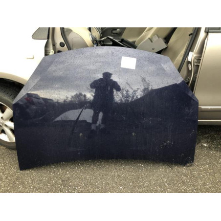 Capot DACIA SANDERO 1 Photo n°1