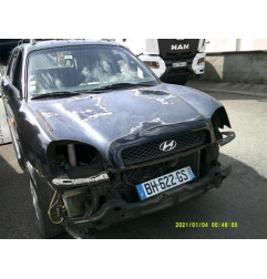 Porte arriere gauche HYUNDAI SANTA FE 1 Photo n°9