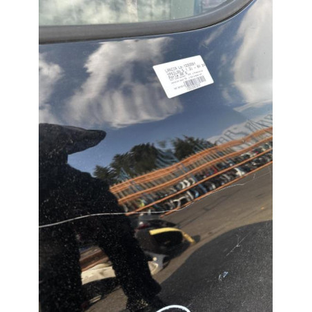 Porte arriere gauche LANCIA YPSILON 5 Photo n°1