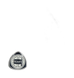 Air bag conducteur LANCIA YPSILON 4 Photo n°3