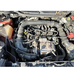 Feu arriere principal gauche (feux) FORD ECOSPORT Photo n°18