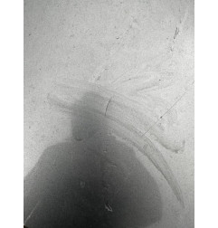 Malle/Hayon arriere PEUGEOT 406 Photo n°3