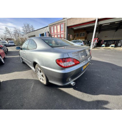 Malle/Hayon arriere PEUGEOT 406 Photo n°13