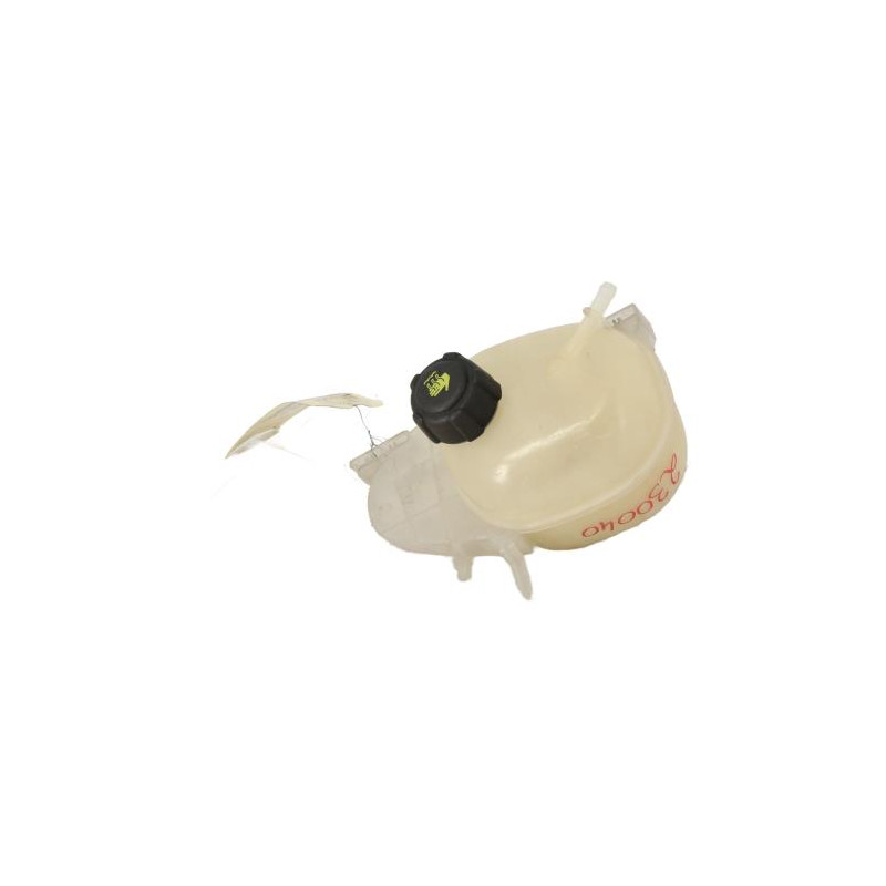Vase d'expansion RENAULT TWINGO 3