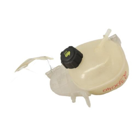 Vase d'expansion RENAULT TWINGO 3 Photo n°1