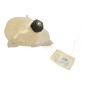 Vase d'expansion RENAULT TWINGO 3