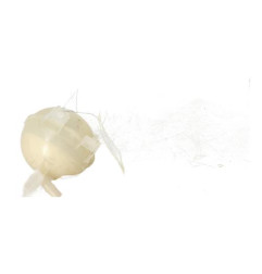 Vase d'expansion CITROEN C3 3 Photo n°4