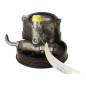 Pompe de direction DACIA DUSTER 1