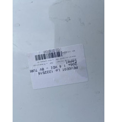 Capot PEUGEOT 206+ Photo n°1