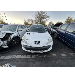 Capot PEUGEOT 206+ Photo n°11