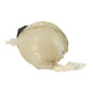 Vase d'expansion CITROEN C4 2