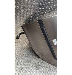 Porte arriere gauche RENAULT CLIO 3