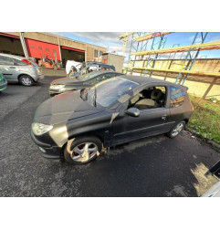 Vitre avant droit PEUGEOT 206 Photo n°11