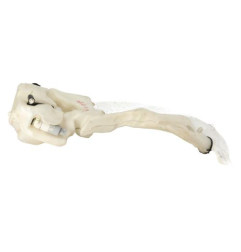 Vase de lave glace VOLVO S 60 1