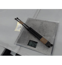 Verin de coffre CITROEN C3 2 Photo n°1