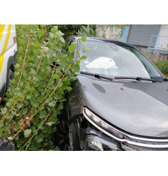 Alternateur CITROEN C3 3 Photo n°7