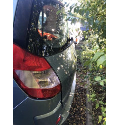 Ceinture arriere centrale RENAULT SCENIC 2 Photo n°5