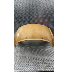 Capot PEUGEOT 207 Photo n°1