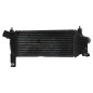 Echangeur air (Intercooler) NISSAN NAVARA 1