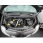 Custode arriere droit (porte) RENAULT GRAND MODUS