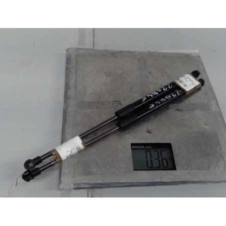 Verin de coffre RENAULT TWINGO 2 Photo n°1