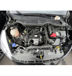 Attache ceinture avant gauche FORD FIESTA 7 SOCIETE Photo n°13