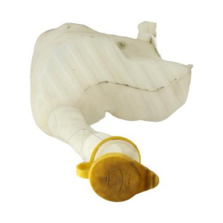 Vase de lave glace RENAULT MASTER 3