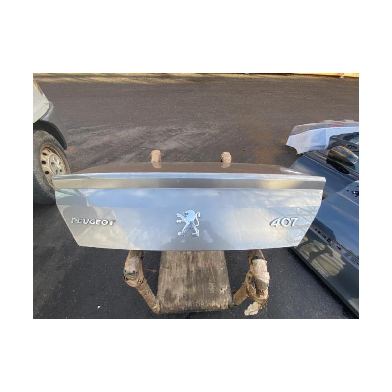 Malle/Hayon arriere PEUGEOT 407
