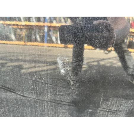 Porte arriere gauche SSANGYONG KYRON