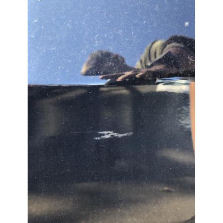 Porte avant gauche BMW SERIE 3 E92 Photo n°1