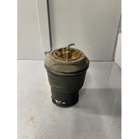 Coussin pneumatique arriere gauche CITROEN C4 GRAND PICASSO 1 Photo n°1