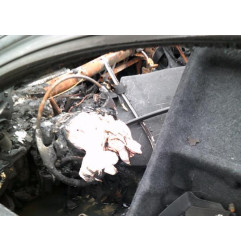 Aile avant droit BMW SERIE 3 E91 Photo n°4