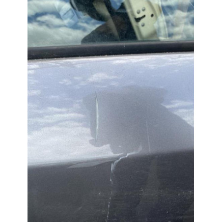 Porte arriere gauche RENAULT MEGANE 3