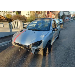 Sigle de calandre PEUGEOT 206 Photo n°6