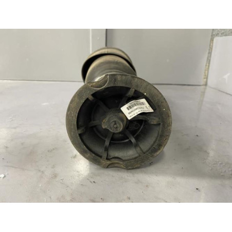 Coussin pneumatique arriere droit CITROEN C4 PICASSO 1 Photo n°1