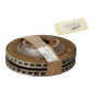 Paire de disques avant (freinage) RENAULT TWINGO 3