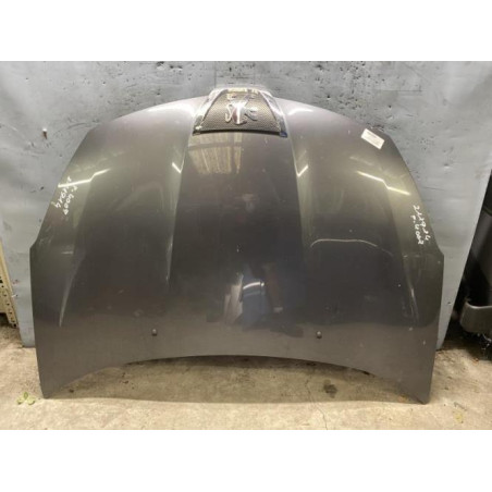 Capot PEUGEOT 4007 Photo n°1