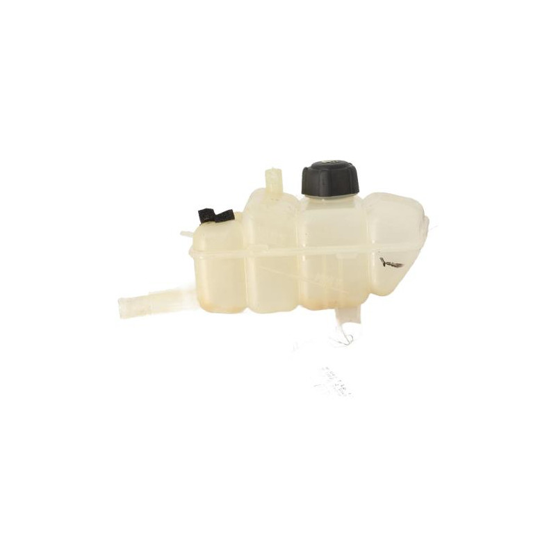 Vase d'expansion RENAULT MEGANE 4