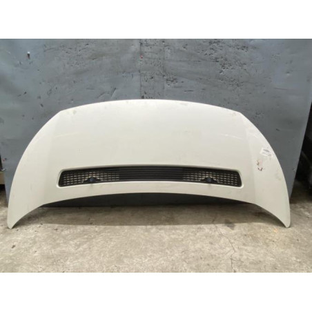 Capot PEUGEOT EXPERT 2 Photo n°1