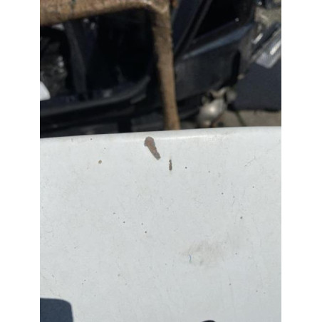 Capot PEUGEOT PARTNER 1 Photo n°1