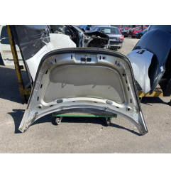 Capot VOLKSWAGEN NEW BEETLE 1 Photo n°3